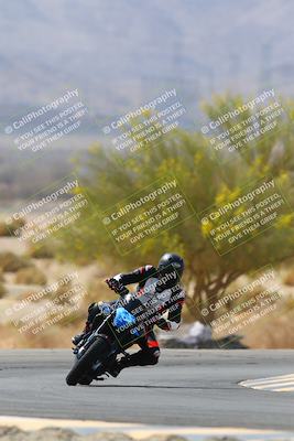 media/Apr-10-2022-SoCal Trackdays (Sun) [[f104b12566]]/Turn 5 Tree of Life (1040am)/